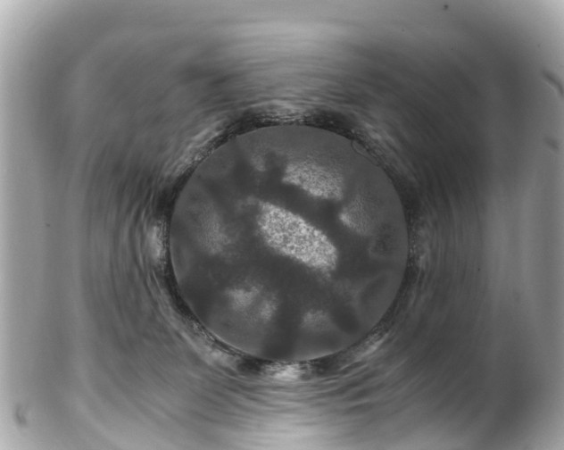 X0000102510131200808151556