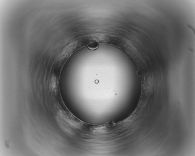X0000102510132200808151556