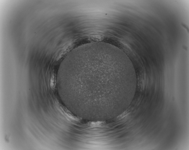 X0000102510134200808151556