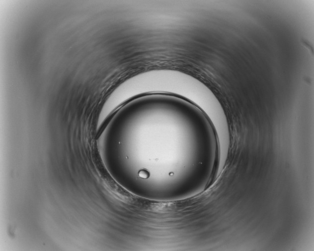 X0000102510136200808151556