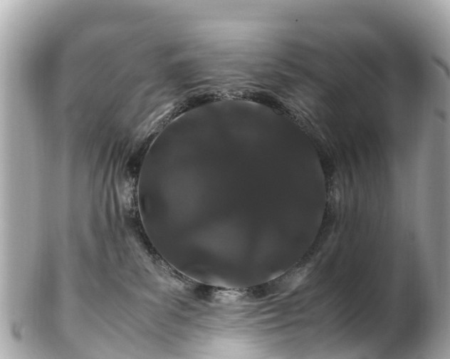X0000102510139200808151556