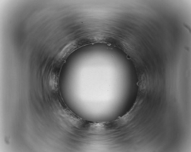 X0000102510140200808151556