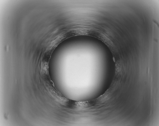 X0000102510141200808151556