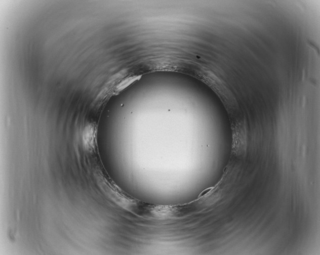 X0000102510142200808151556