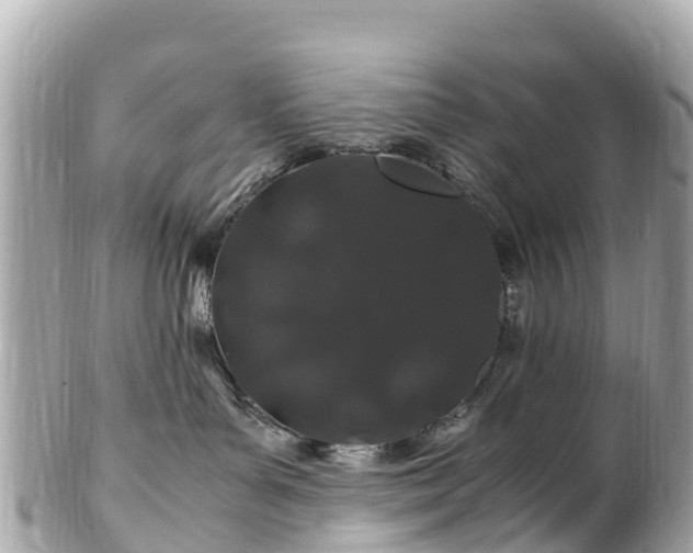 X0000102510143200808151556