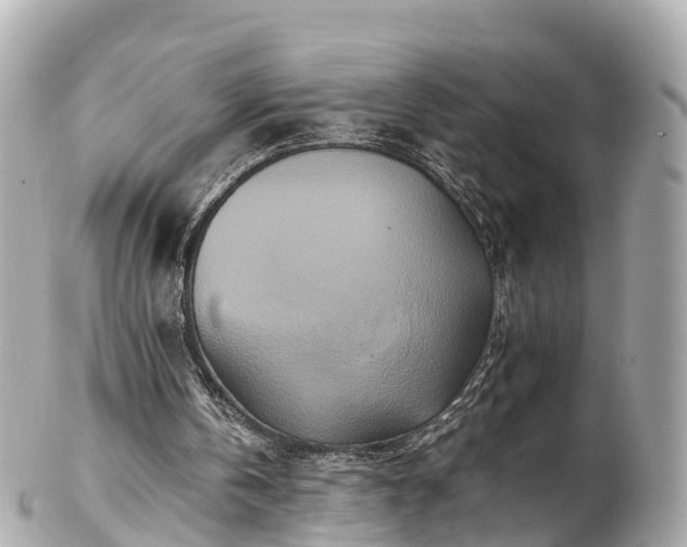 X0000102510146200808151555