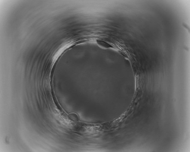 X0000102510147200808151555