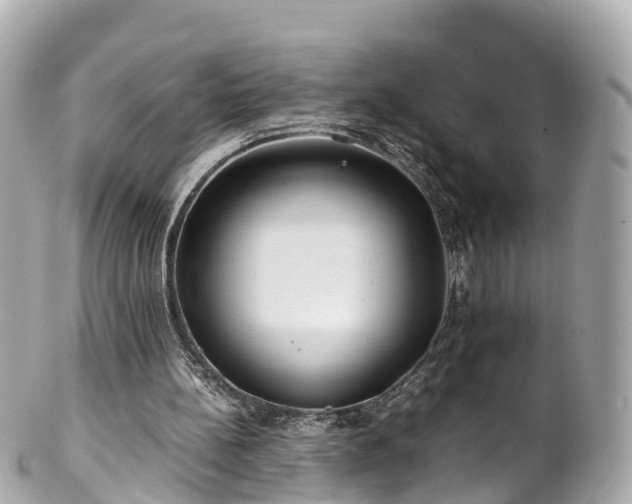 X0000102510148200808151555
