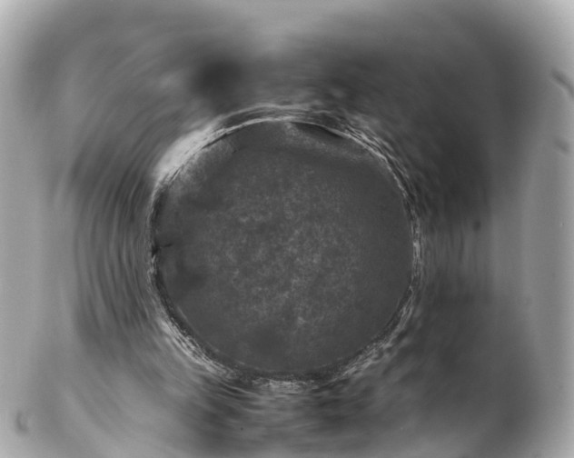 X0000102510149200808151555
