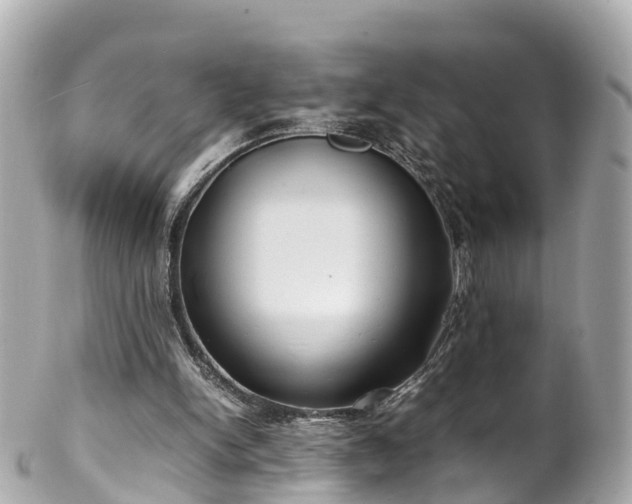 X0000102510150200808151555