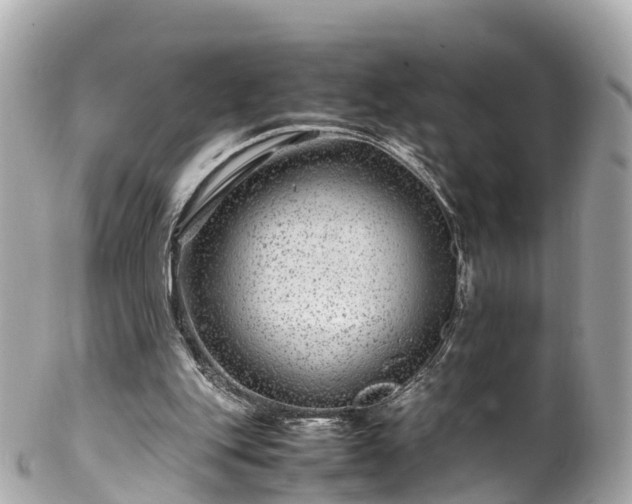 X0000102510151200808151555
