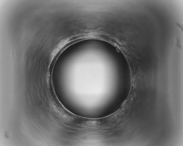 X0000102510152200808151555