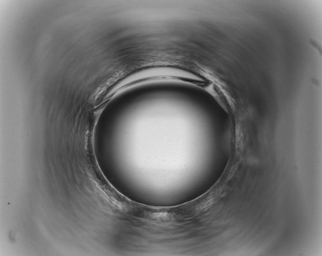 X0000102510153200808151555