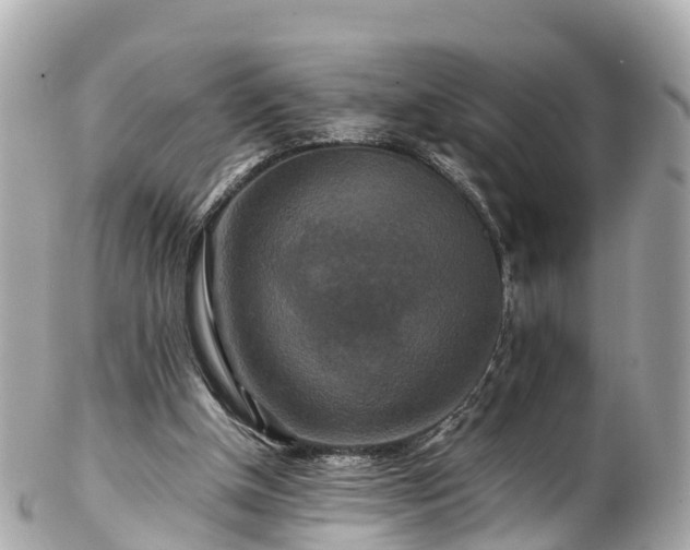 X0000102510154200808151555
