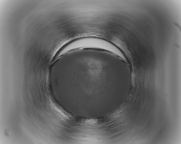 X0000102510156200808151555