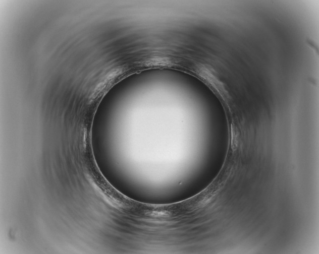X0000102510157200808151555