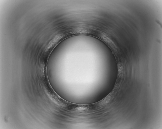 X0000102510158200808151555
