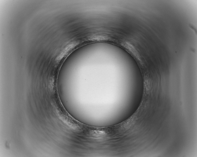 X0000102510159200808151555