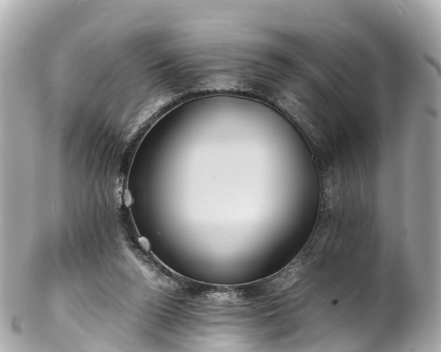 X0000102510160200808151555