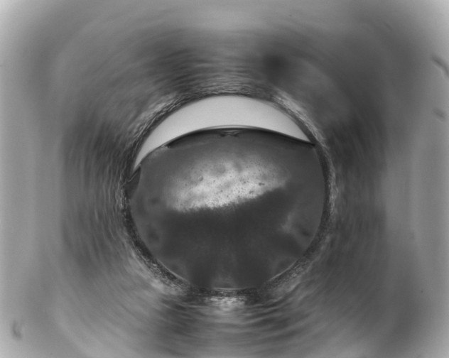 X0000102510161200808151556
