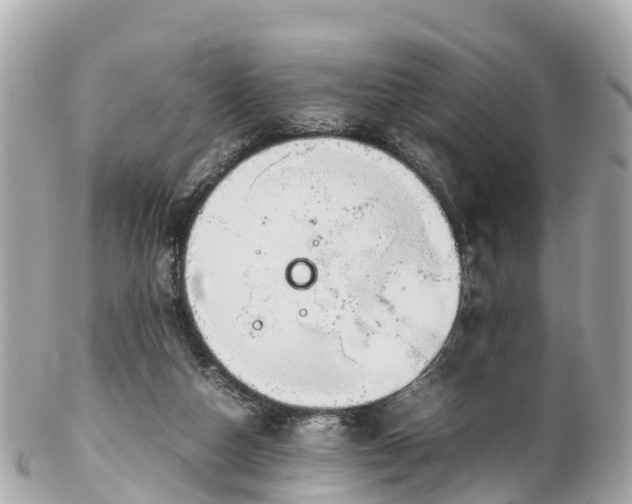 X0000102510162200808151556