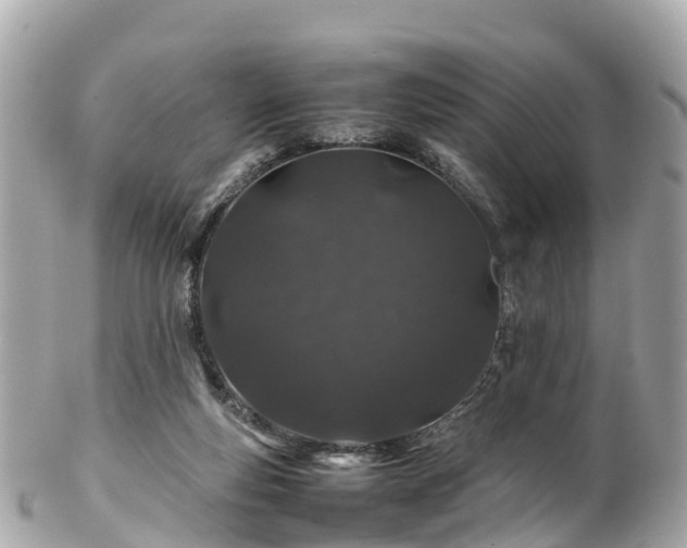 X0000102510163200808151556