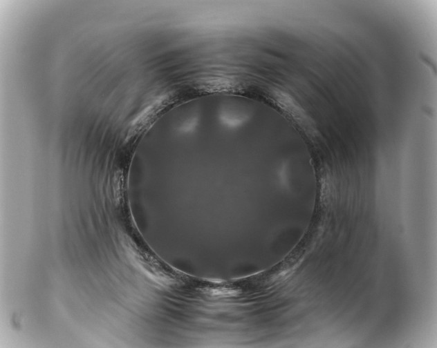 X0000102510165200808151556