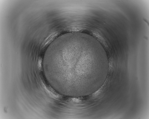 X0000102510166200808151556
