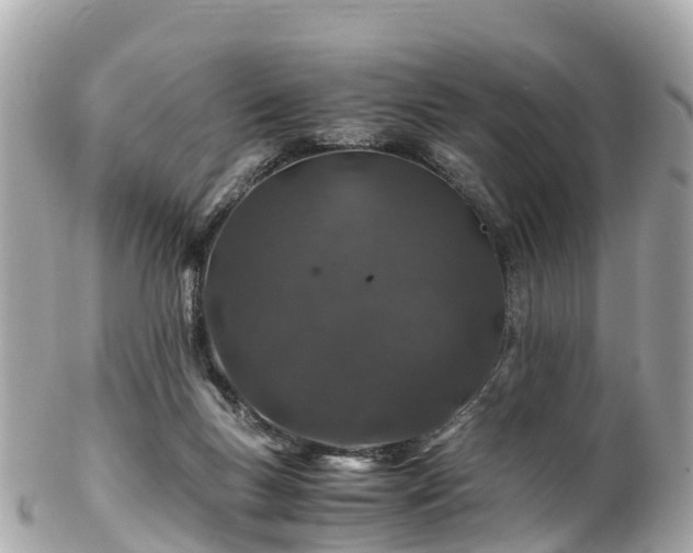 X0000102510167200808151556
