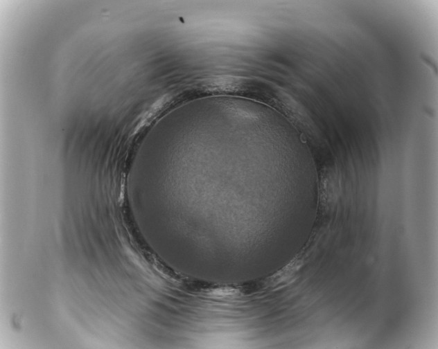 X0000102510168200808151556