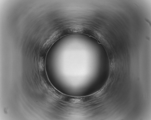 X0000102510170200808151556