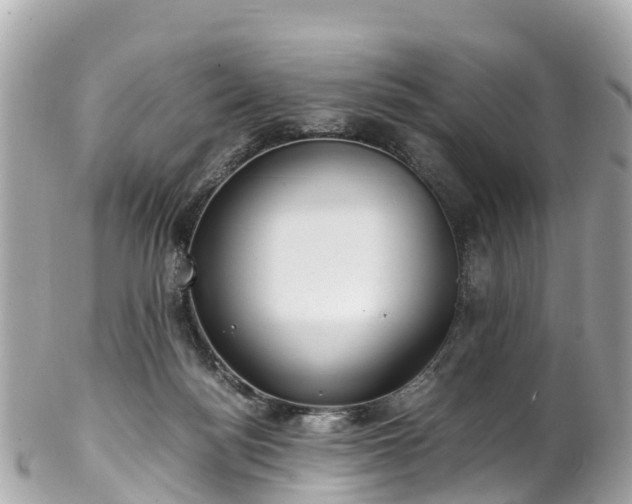 X0000102510172200808151556