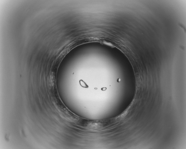 X0000102510174200808151556