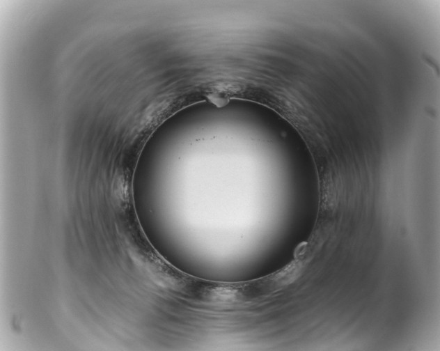 X0000102510176200808151556