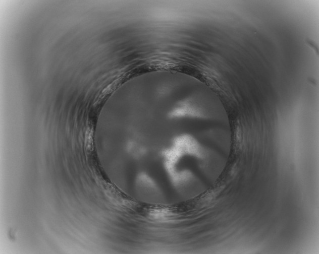 X0000102510177200808151556