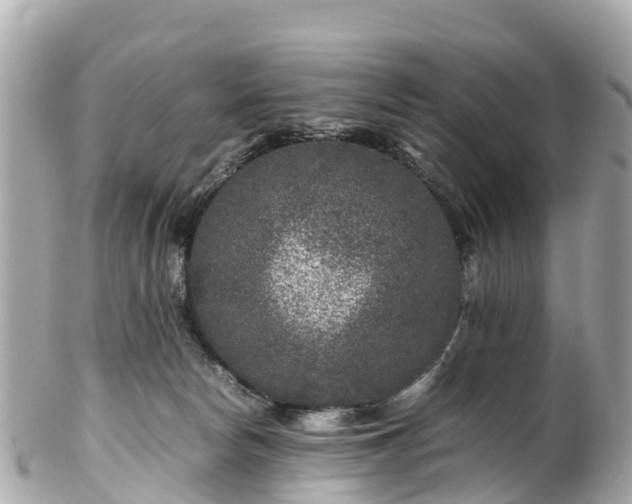 X0000102510178200808151556