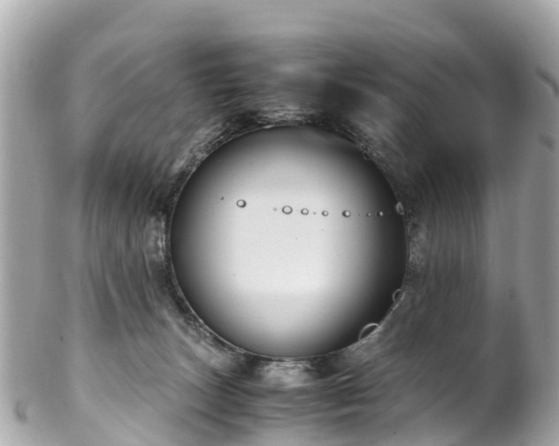 X0000102510179200808151556