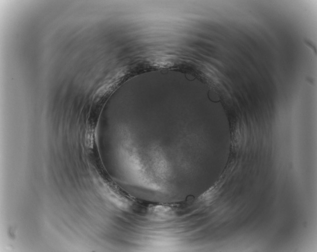 X0000102510180200808151556
