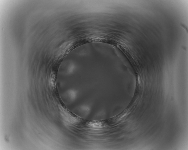 X0000102510181200808151556