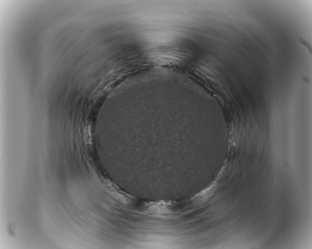 X0000102510182200808151556