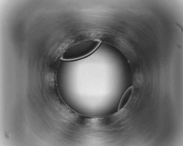 X0000102510184200808151556