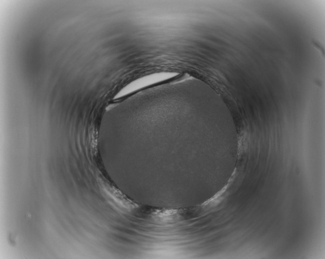X0000102510186200808151556