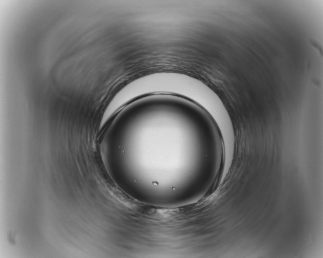 X0000102510188200808151556