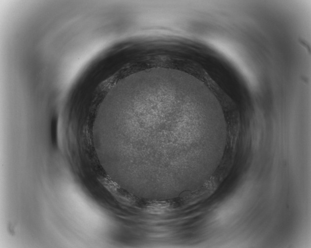 X0000102510189200808151556