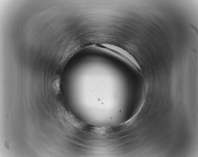 X0000102510190200808151556