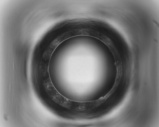 X0000102510191200808151556