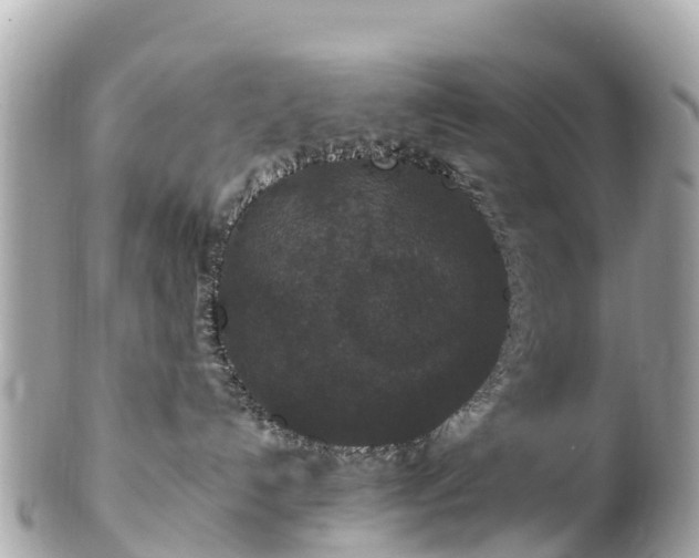 X0000102510192200808151556