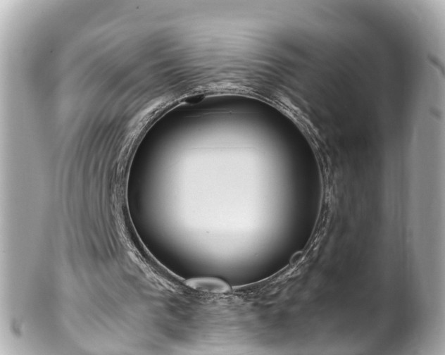 X0000102510193200808151555