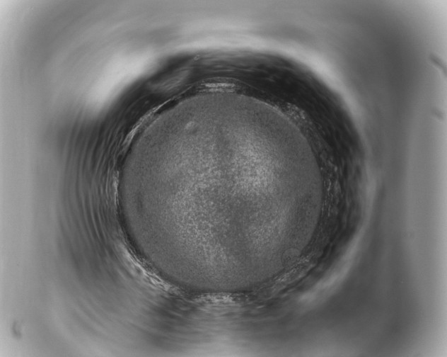 X0000102510194200808151555