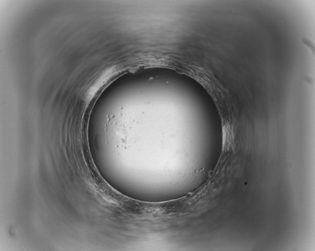 X0000102510195200808151555